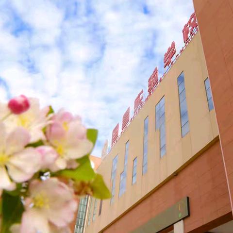 青春正向上，梦想有光芒 ﻿——国昌实验学校六年级第一期尚进少年展评