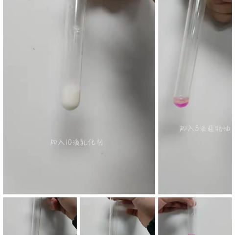 营养与生命化合物的性质