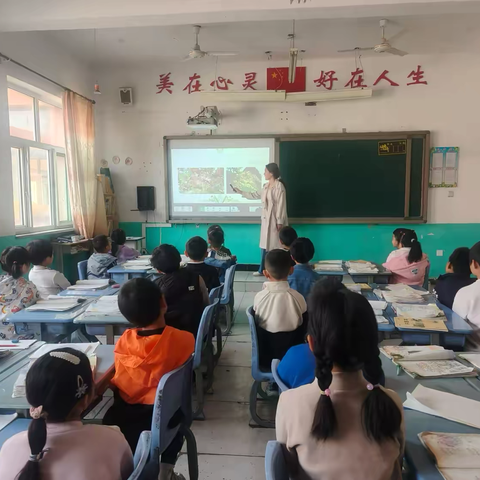 构建教研共同体 结伴融通共提升—北庄小学