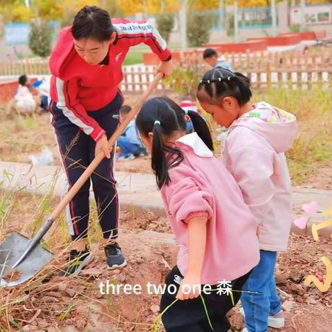 九四七医院幼儿园中班：“乐享生活，悦享劳动”——清理菜园半日活动