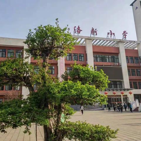 【教学感悟】静待花开