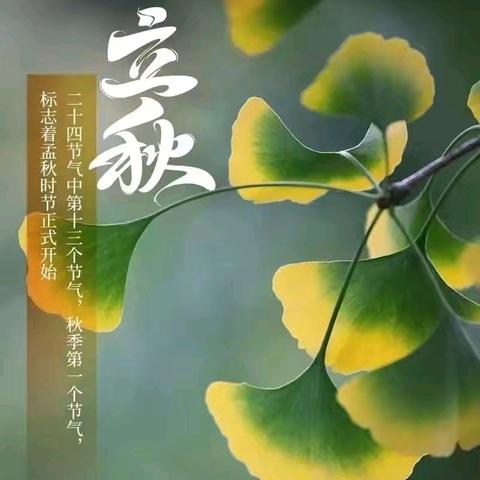 【北小·劳动】凉风有信，童趣知秋——北环路小学“跟着节气去劳动·立秋”系列实践活动