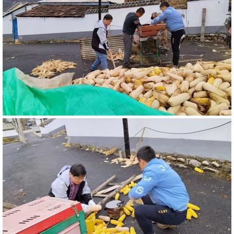 边村红旗飘，最美丰收季（图组）