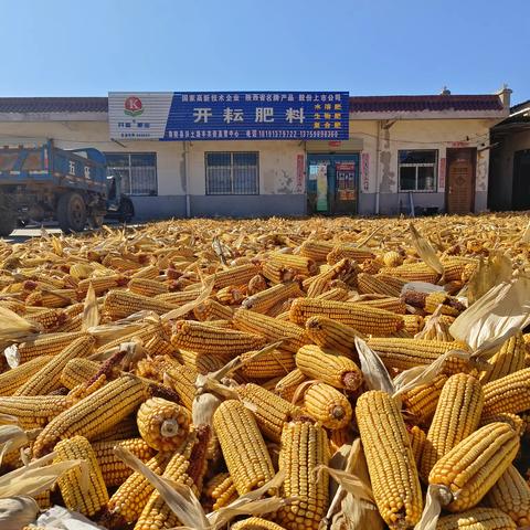 十一月，你好，带您一个起感受开耘好（丰）景