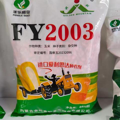 2025年玉米春播生产技术意见