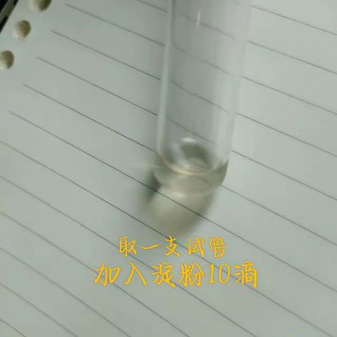 淀粉与碘的反应实验
