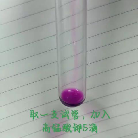 油脂的不饱和性质实验