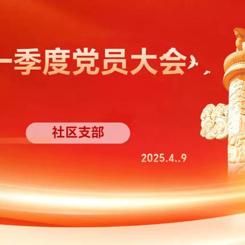 社区支部召开2025年第一季度党员大会
