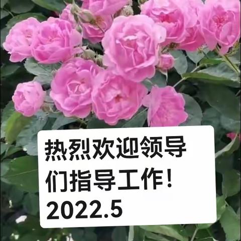 御和苑党支部创省级示范党支部。