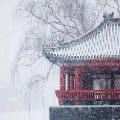 赴一场赏雪之盛宴，念再塑生命之伟人——记玉沙中语组第八周科组活动暨新教师汇报课磨课