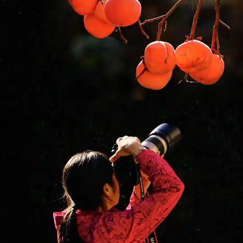 留住秋色   永恒美好 ——株洲市芦淞区摄影协会《留住秋色》作品题照诗集