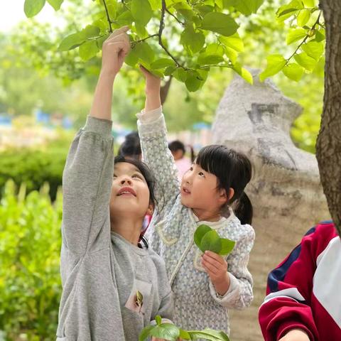 临沂花埠圈回民学校幼儿园2024年秋季招生开始啦