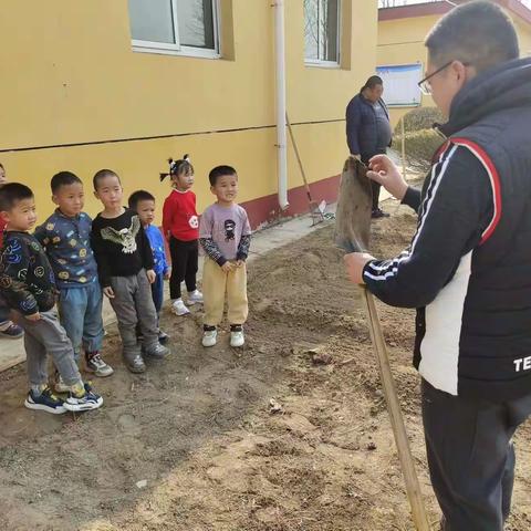 劳动砺心志，实践促成长