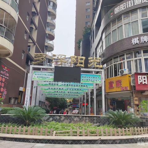 罗浮阳光10月25日服务简报