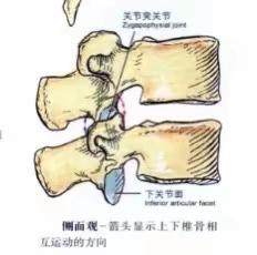 正安君安医院带你关注你的腰椎健康