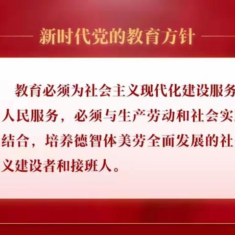 武川县第二小学主题教育活动