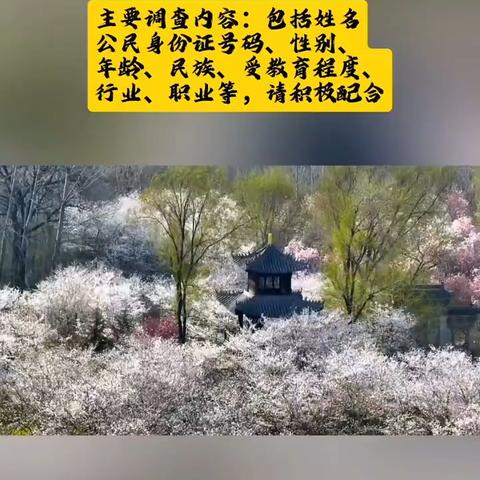 2025年全国1%人口抽样调查，11月1日0时起正式开展入户调查。