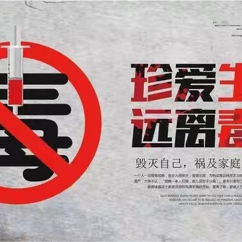 “珍爱生命 远离毒品” 禁毒宣传进万家——自来屯小学禁毒宣传