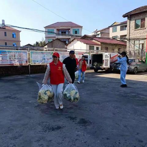 乍暖还寒，春日暖心——南丰县城投集团为紫霄镇中心学校赠送绿色蔬菜