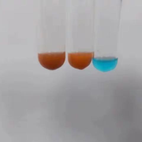营养和生命化合物的性质 一、糖类的性质