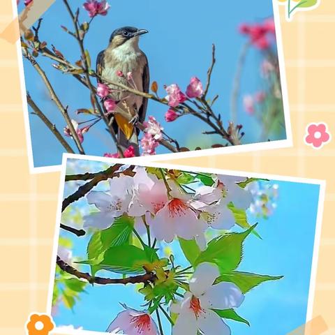 向快乐出发，不负好春光