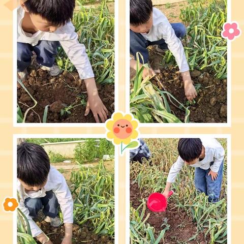 实践砺成长 劳动最光荣