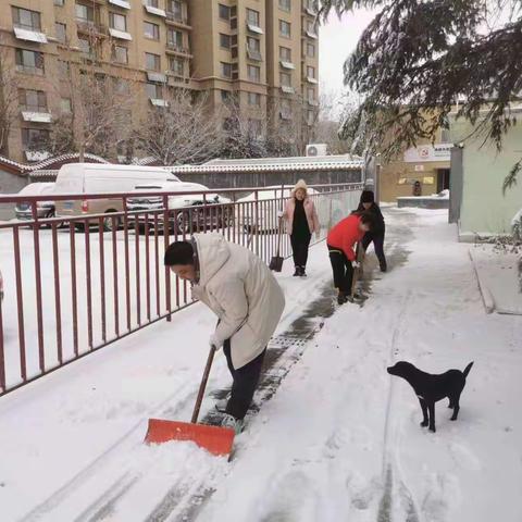 白马山街道槐荫街居开展扫雪除冰志愿服务活动