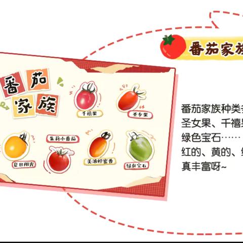 番茄家族