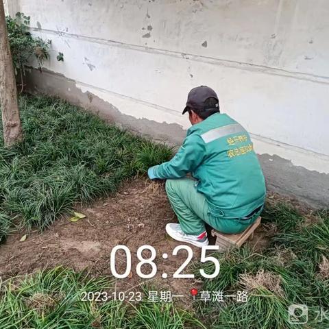 抢抓好时节 补栽正当时