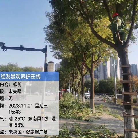 园林美发师在行动