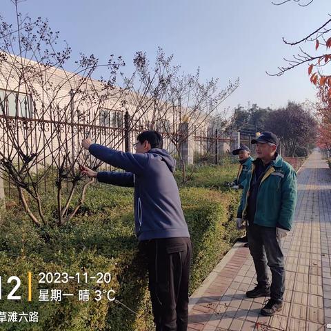 翘盼花开枝满头 紫薇修剪正当时
