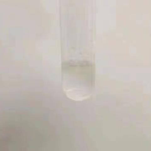 油脂的实验报告