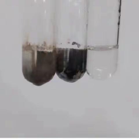 糖类的实验报告