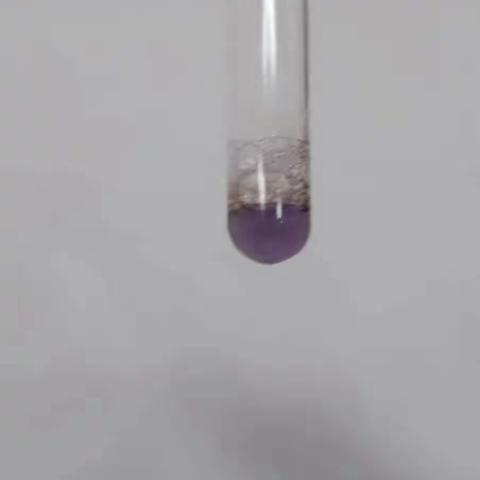 蛋白质的实验报告