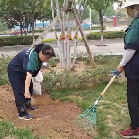 提升养护水平 补栽草坪美化环境