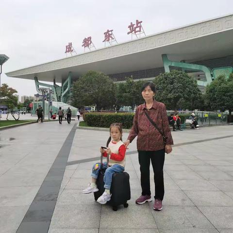 成都熊猫馆一游