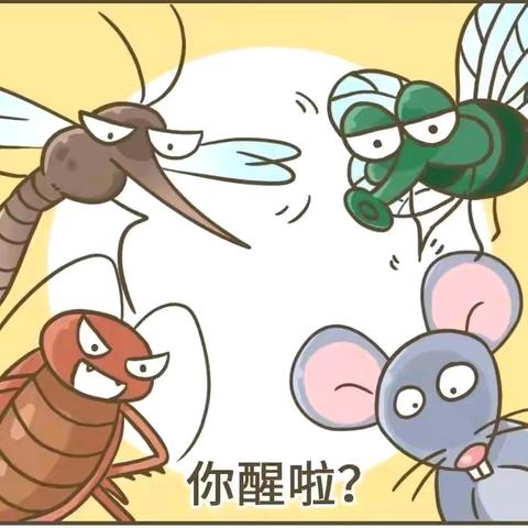 【浐灞学前教育】西京幼儿园病媒生物防制知识宣传