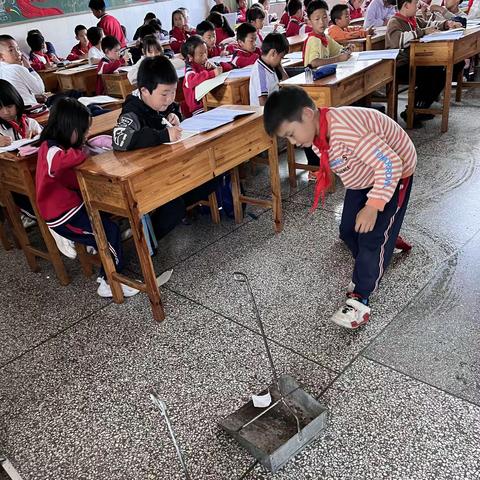 养成良好卫生习惯，树立健康生活方式