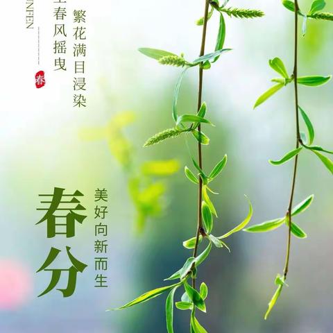 乘教研之风    展数学之美——夏邑县第二小学数学教师参加网络教研活动小结