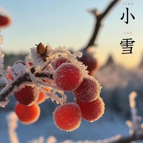 “小”得即圆满 “雪”落不知寒 ——昌乐北大公学三年级级部德育活动