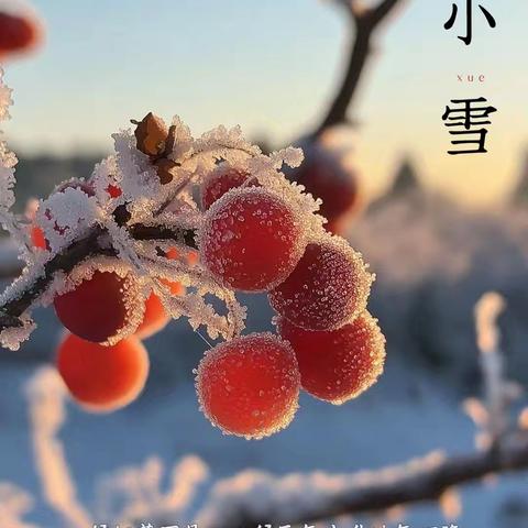 “小”得即圆满 “雪”落不知寒 ——昌乐北大公学三年级级部德育活动