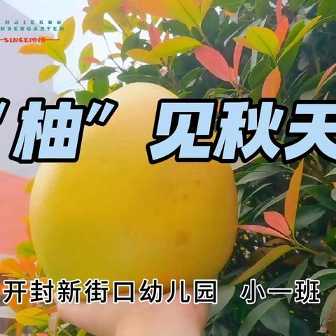 “柚”见美好·“柚”见你——开封市新街口幼儿园小一班食育活动