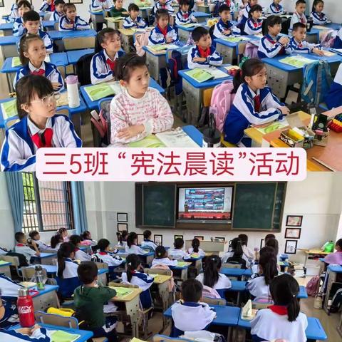 宪法伴我们成长——文昌市清澜中心小学开展国家宪法日主题活动