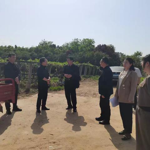 主任接待日面对面 履职尽责解民忧