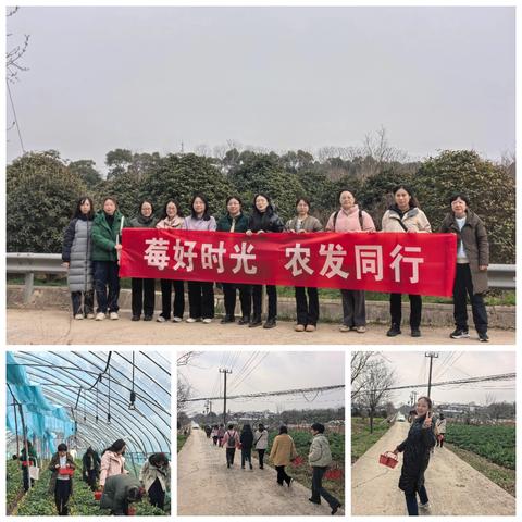 “莓”好时光，农发与妳同行