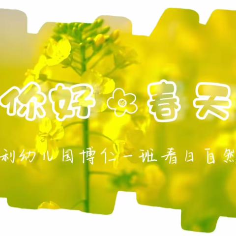 “嗨！油菜花”——宜都市红花福利幼儿园博仁一班自然课堂