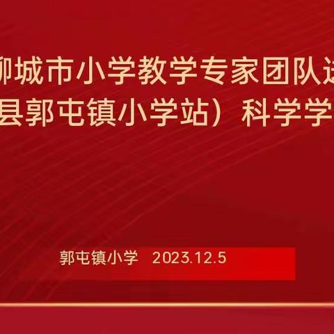 冬日暖阳沐人心 专家送教传真情——聊城市小学科学专家送课教研活动纪实