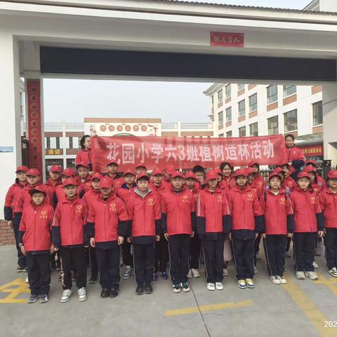 花园小学六（3）班——植树造林实践活动