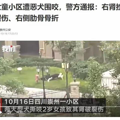 文明养犬，遛狗牵绳