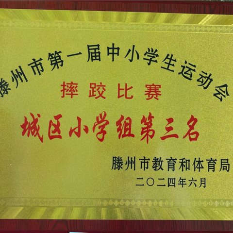 挥洒汗水，“摔”出精彩——龙泉街道安居小学参加滕州市第一届中小学生运动会摔跤比赛喜获佳绩